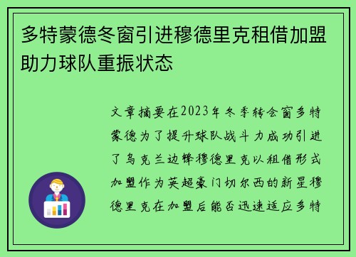 多特蒙德冬窗引进穆德里克租借加盟助力球队重振状态