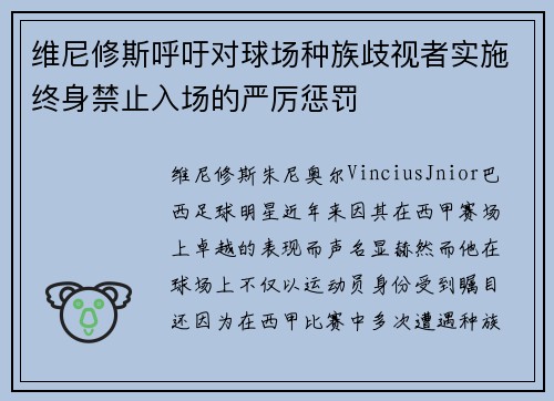 维尼修斯呼吁对球场种族歧视者实施终身禁止入场的严厉惩罚